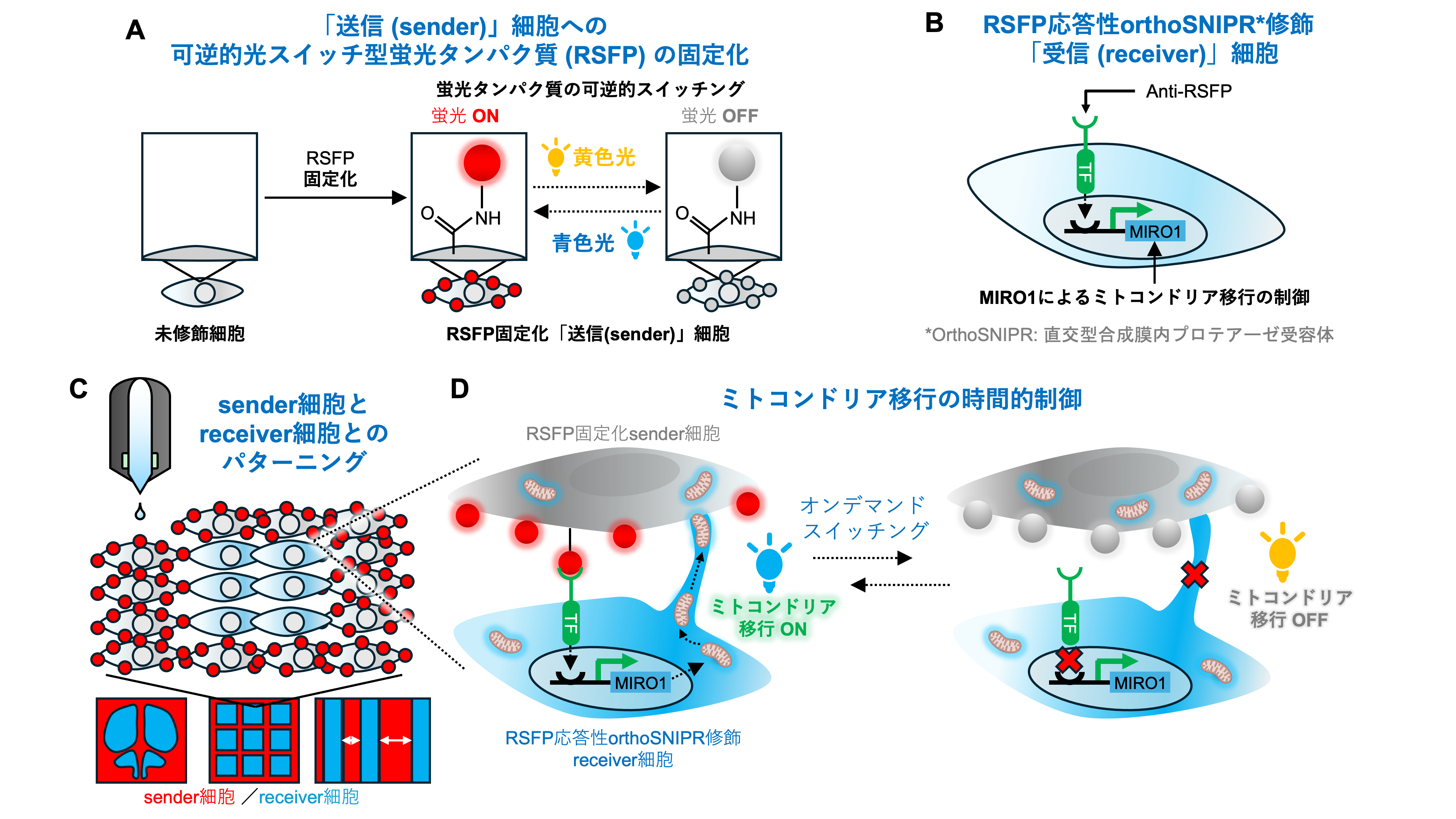 Figure_MRL_Web_JP Check.png